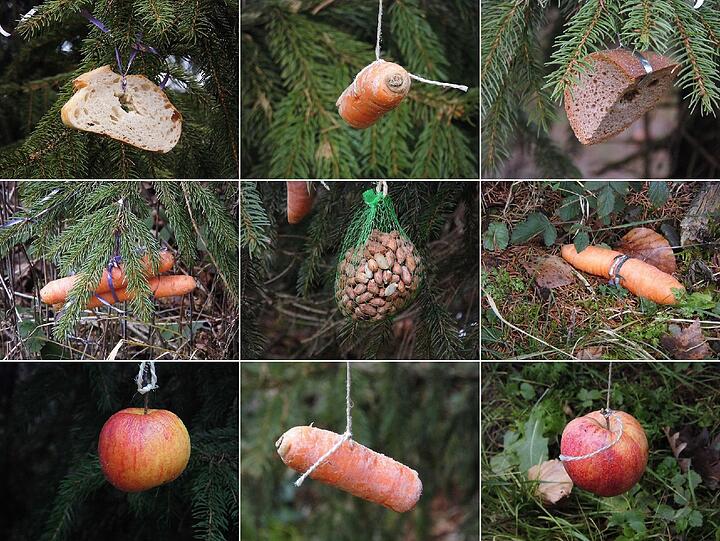 Einen Christbaum der besonderen Art hat AZ-Leser Rainer Ziegowski gefunden. Die Tiere wird's freuen.