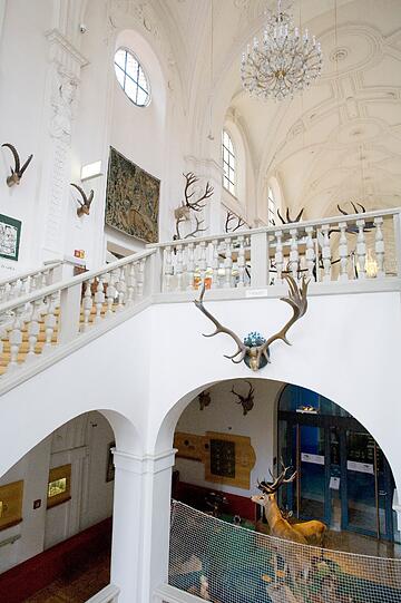 Besonders schön: Im Weißen Saal im Jagd- und Fischereimuseum stehen vor allem Exponate zur Kulturgeschichte der Jagd.Hier ist außerdem gut zu erkennen, dass das Museum mal eine Kirche war.