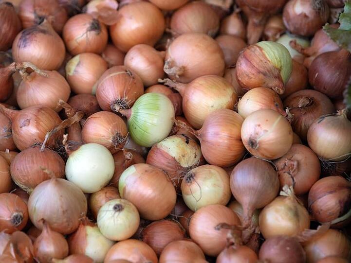 Gemüsebauern in Deutschland haben trotz der Trockenheit 2019 einen besseren Ertrag eingefahren als ein Jahr zuvor.