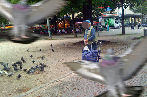 40.000 Tauben in München: Dieser Rentner füttert die Vögel am Orleansplatz, was seit 1996 verboten ist.
