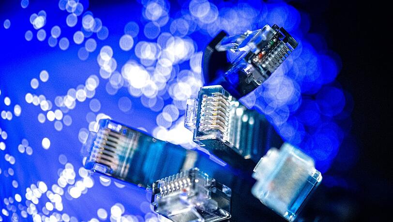 Digitale Netzwerkkabel: Ohne sie geht nichts mehr.