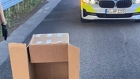 Eine Streife der Autobahnpolizei Darmstadt rettete den verletzten Vogel. (Foto Handout)