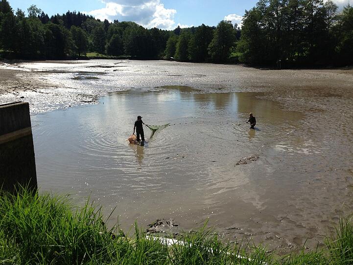 Wo ist Schnappschildkröte "Lotti"? Bilder von der großen Such-Aktion.