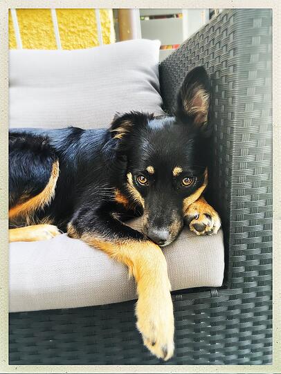 Ella