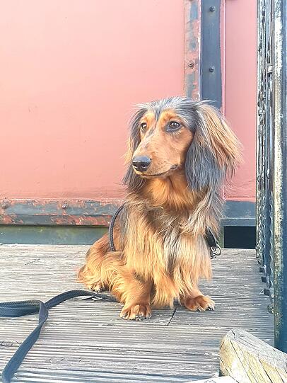 Oskar