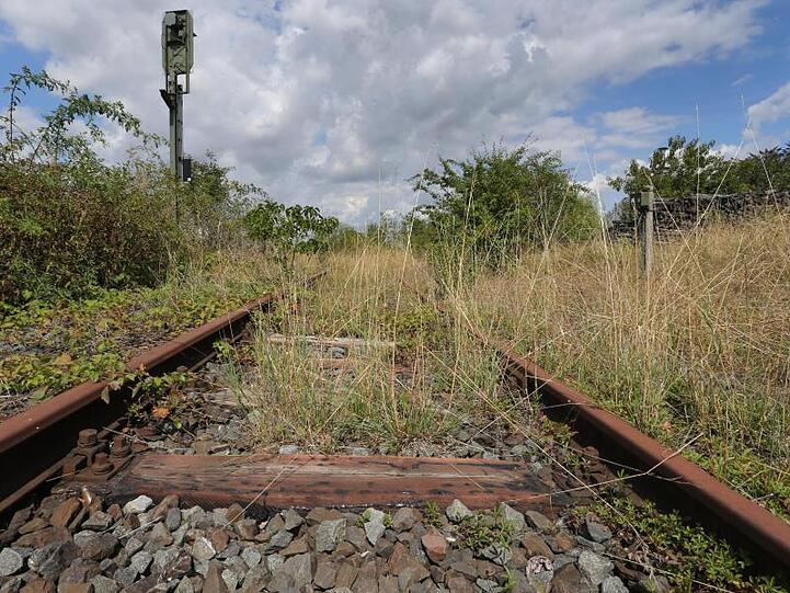 Teilweise zugewuchert ist das Gleisbett der stillgelegten Bahnstrecke Schweinfurt-Kitzingen.