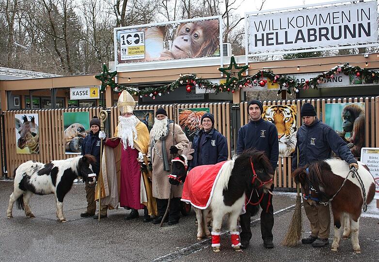 Sogar Tiere haben Nikolaus und Krampus dabei: Ponys und Lamas dürfen auf ihrer Runde nicht fehlen.