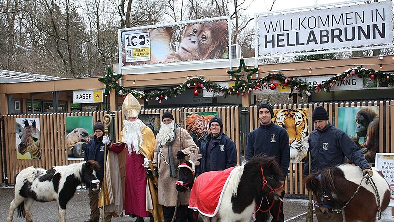Sogar Tiere haben Nikolaus und Krampus dabei: Ponys und Lamas dürfen auf ihrer Runde nicht fehlen. Sogar Tiere haben Nikolaus und Krampus dabei: Ponys und Lamas dürfen auf ihrer Runde nicht fehlen.