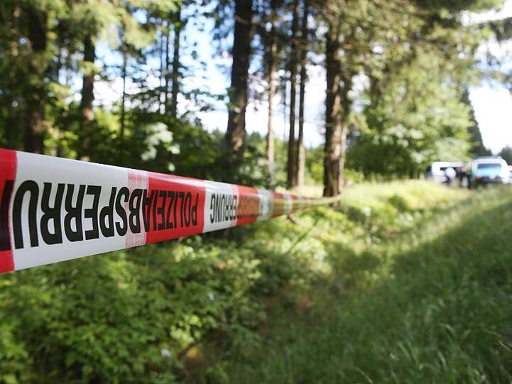 Peggy war am 7. Mai 2001 auf dem Heimweg von der Schule verschwunden. Im Juli 2016 fand ein Pilzsammler Teile ihres Skeletts in einem Wald bei Rodacherbrunn im thüringischen Saale-Orla-Kreis.