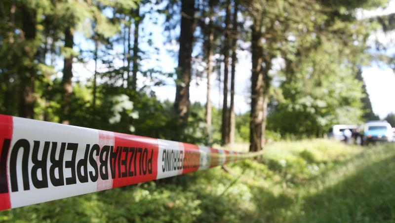 Peggy war am 7. Mai 2001 auf dem Heimweg von der Schule verschwunden. Im Juli 2016 fand ein Pilzsammler Teile ihres Skeletts in einem Wald bei Rodacherbrunn im thüringischen Saale-Orla-Kreis. Peggy war am 7. Mai 2001 auf dem Heimweg von der Schule verschwunden. Im Juli 2016 fand ein Pilzsammler Teile ihres Skeletts in einem Wald bei Rodacherbrunn im thüringischen Saale-Orla-Kreis.