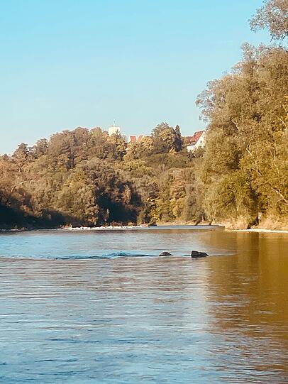 Vorbei an Burg Gr&uuml;nwald, jetzt schauen mehr Hindernisse aus dem flachen Wasser.