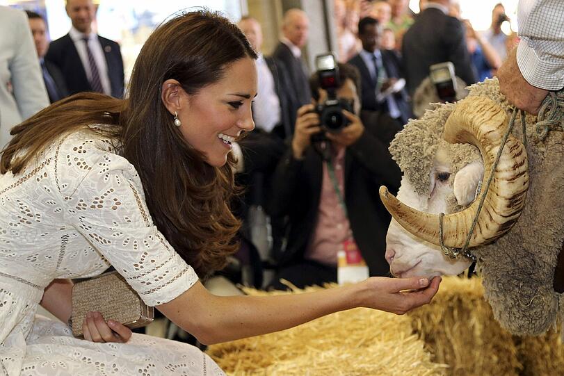 Das gilt auch für die Tiere.