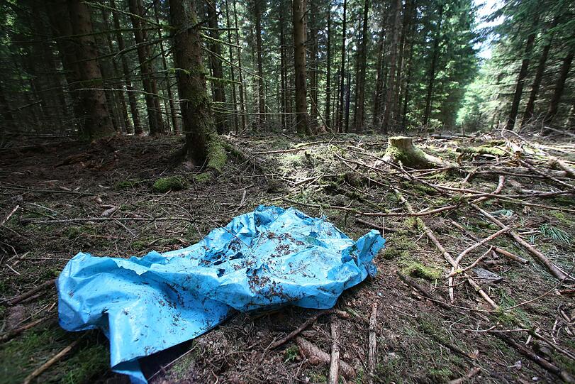 Hier fand der Pilzsammler die Skelettteile von Peggy.