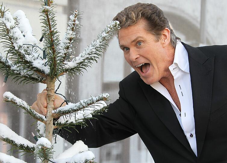 Am Dienstag, den 17.07.2012, wird David Hasselhoff 60. Die Bilder des berühmtesten Bademeisters der Welt