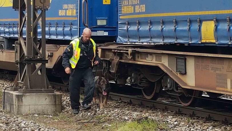 Am Samstag wurden drei Afrikaner an der S-Bahn-Haltestelle Zornerding aufgegriffen, die zuvor auf Güterzügen eingereist waren.