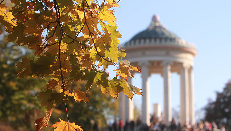 Die Wiesn ist vorbei, der Herbst ist da: Viele zieht es in die Parks der Stadt. Aber auch abseits von Spaziergängen ist an diesem Herbstwochenende in der Stadt einiges geboten. Von Ausstellungen, über Konzerte bis hin zu Flohmärkten und Food-Festival.