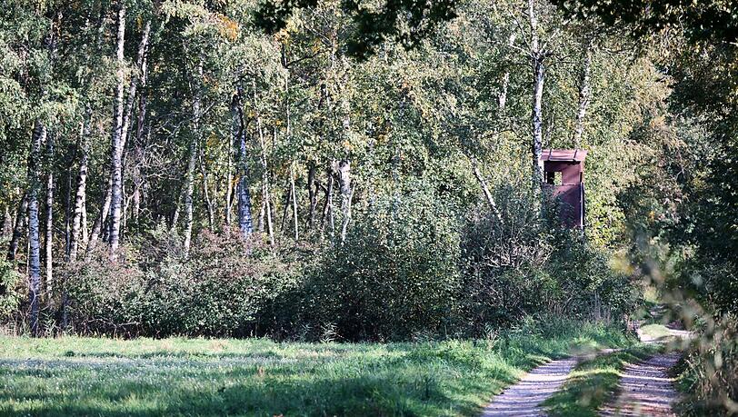 Die mutma&szlig;liche Raubkatze wurde laut Landratsamt im Notzingermoos in der N&auml;he des M&uuml;nchner Flughafens gesehen.