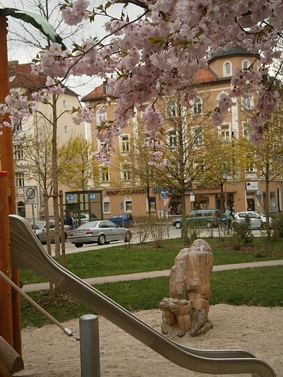Am Jakob-Gelb-Platz blüht es jetzt auch rosa.