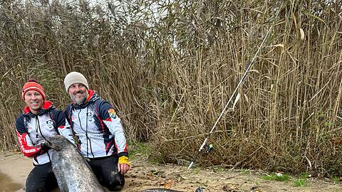 Zwei Angler in Polen haben einen fast drei Meter langen Wels gefangen. (Foto Handout)