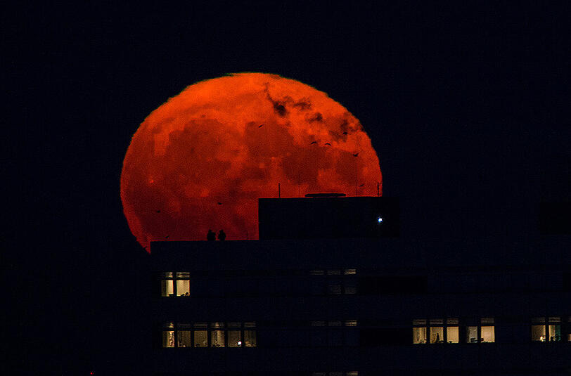 Die Hauptstädter hatten vor allem zu Beginn besonders gute Sicht auf den Supermond. Die Bilder aus Berlin.