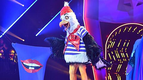 Die Möwe muss "The Masked Singer" nach der zweiten Show verlassen.