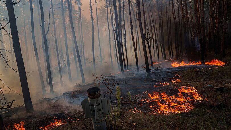 Waldbrände in der Ukraine, die viel Treibhausgase freisetzen, werden oft durch Gefechte ausgelöst. (Archivbild)