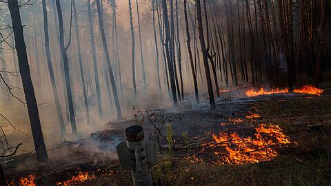 Waldbrände in der Ukraine, die viel Treibhausgase freisetzen, werden oft durch Gefechte ausgelöst. (Archivbild)
