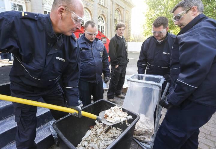 Kurz vor dem Treffen zum EU-Treffen zu illegalem Tierhandel hat der belgische Zoll ein Zeichen gesetzz: In einem Schredder haben Beamte die Elfenbein-Ausbeute von 25 Jahren Zollfahndung zerstört - anderthalb Tonnen.Alle 15 Minuten werde auf der Welt ein Elefant
getötet, erinnerte in diesem Zusammenhang Belgiens für Kulturinstitutionen
zuständige Ministerin Laurette Onkelinx.