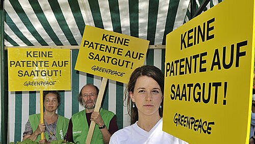 Gemüse für alle: Greenpeace-Aktivisten protestieren vor dem Europäischen Patentamt in München gegen die Patentierung. Gemüse für alle: Greenpeace-Aktivisten protestieren vor dem Europäischen Patentamt in München gegen die Patentierung.