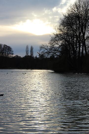 Abendliche Idylle an der Isar.