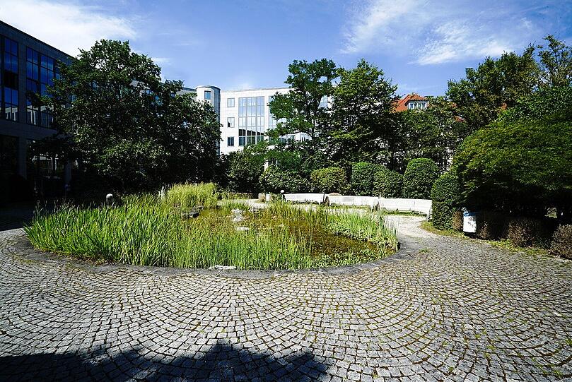 Innenhof: Viel Grün, ein Teich und im Sommer Enten. Ideal für eine entspannte Mittagspause.