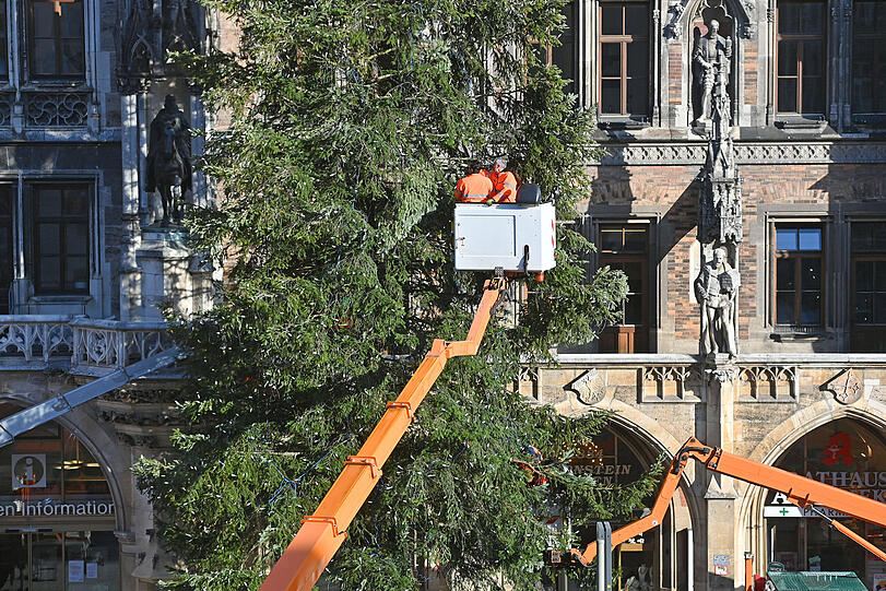 Mithilfe einer Hebebühne wird der Christbaum geschmückt.