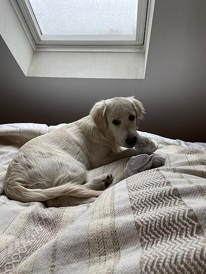 Molly