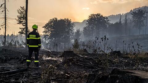2022 wütete ein heftiger Waldbrand im Grenzland zwischen Sachsen und Tschechien. (Archivbild)