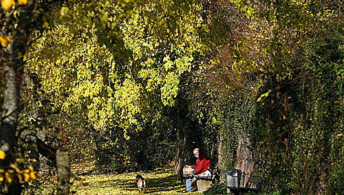 Mainufer in Aschaffenburg (Symbolbild) Mainufer in Aschaffenburg (Symbolbild)