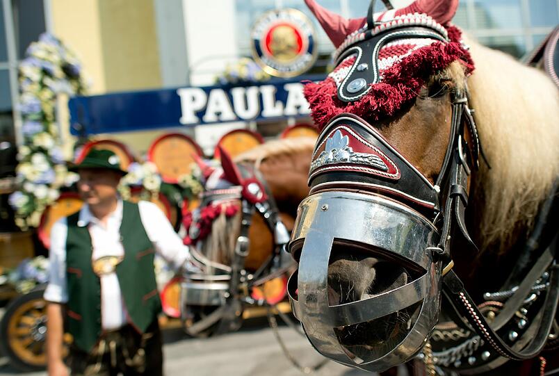Paulaner zieht um. Die Bilder vom traditionellen Umzug am Freitag.