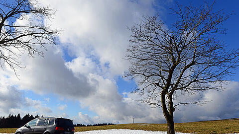 Der Deutsche Wetterdienst (DWD) sieht auch in den kommenden Tagen keine Spur von Winterwetter. Es bleibt mild und Sturm zieht auf.
