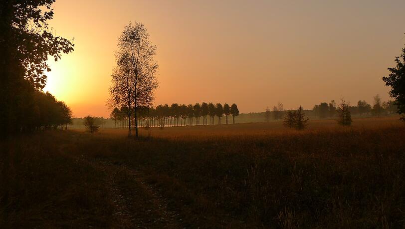 So schön schaut der Riemer Park bei Sonnenaufgang aus. So schön schaut der Riemer Park bei Sonnenaufgang aus.