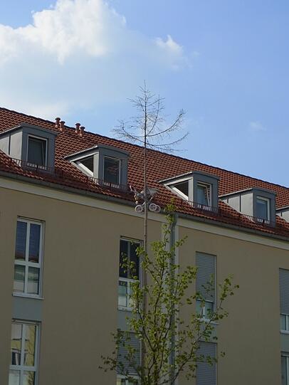Hier war wohl der Storch da. Gesehen in Unterföhring.