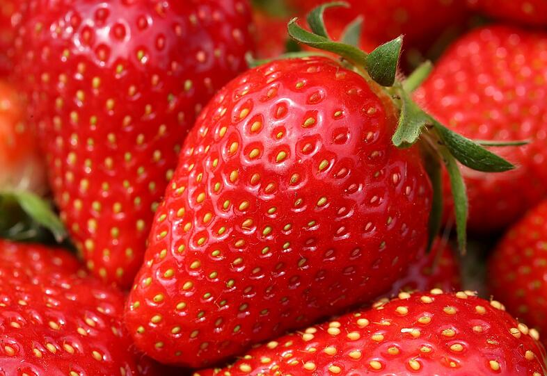 Erdbeeren liegen am 24.04.2014 in Willich (Nordrhein-Westfalen) bei Obstbauer Frank Mertens während einer Pressekonferenz in einer Obstschale. Der Provinzialverband Rheinischer Obst- und Gemüsebauern eröffnete die Erdbeersaison.