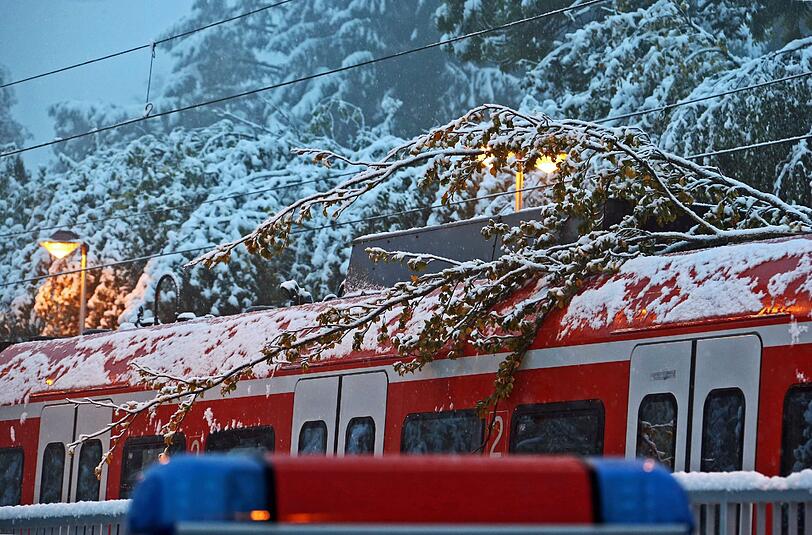 Teile eines Baumes liegen in Icking auf einer S-Bahn. Einige Abschnitte der Strecke München-Wolfratshausen sind daher gesperrt.