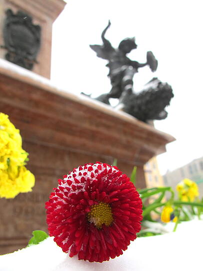 Schauplatz Marienplatz.