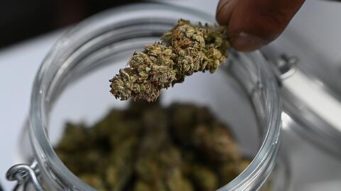 Mehr als sieben Kilo Marihuana stellte die Polizei bei dem Einsatz sicher. (Symbolbild)