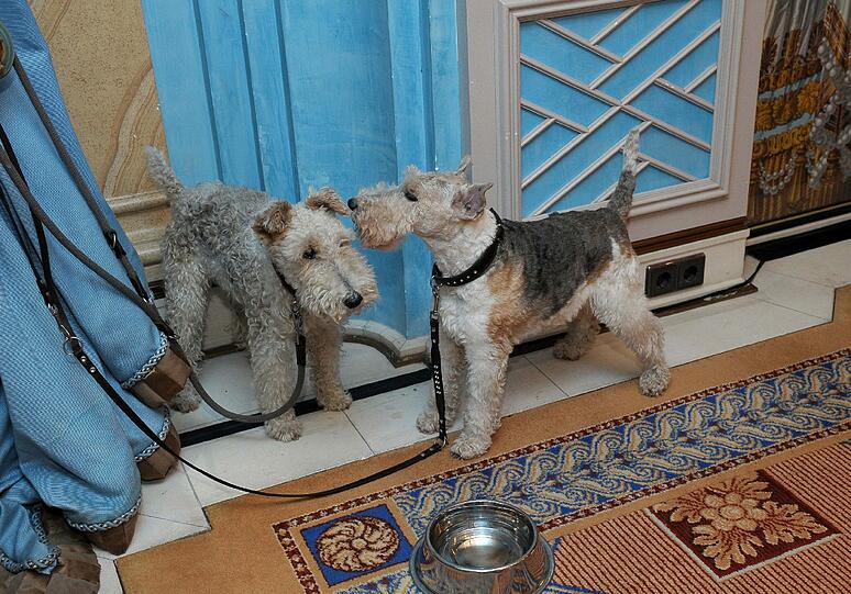 Lola und Heidi