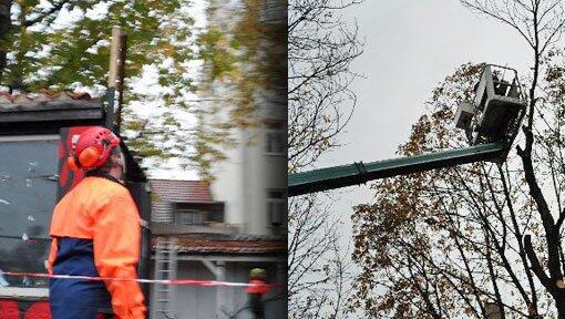 Bei den abgesägten Bäumen an der alten Rubybar startet der Halloween-"Grusel"-Trip. Bei den abgesägten Bäumen an der alten Rubybar startet der Halloween-"Grusel"-Trip.