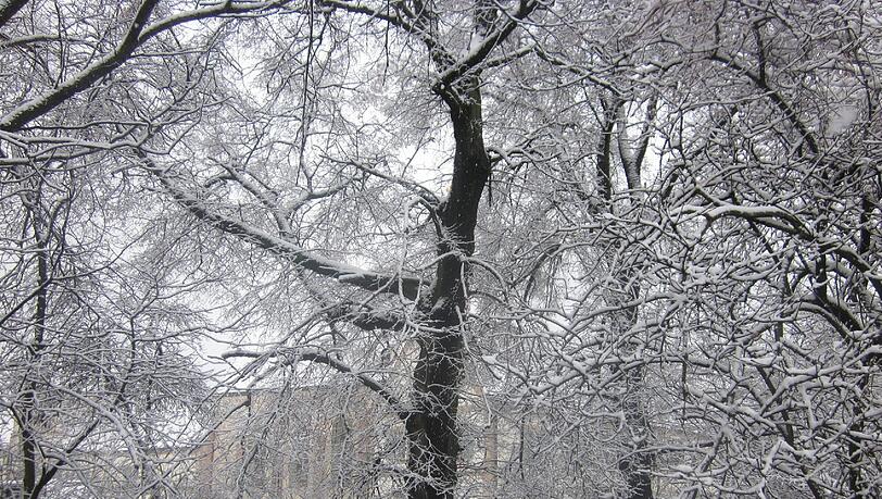 Schloss Blutenburg im Schnee. Das Foto hat AZ-Leserin Milena Spickhoff an Ostern gemacht. Schloss Blutenburg im Schnee. Das Foto hat AZ-Leserin Milena Spickhoff an Ostern gemacht.