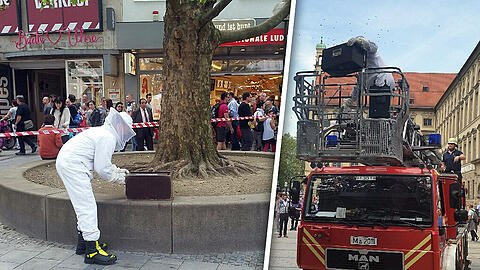 In der Fußgängerzone musste die Feuerwehr ein Bienenvolk einfangen. Die Bilder.