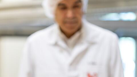 Frisch gebackene Lebkuchen laufen auf einem Band in der Produktion des Lebkuchenherstellers Schmidt.