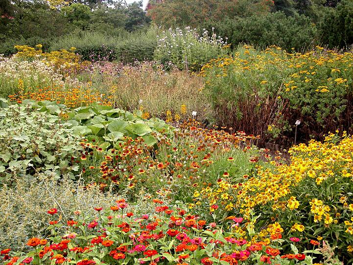 Farbenfroh: Pflanzen im Botanischen Garten.