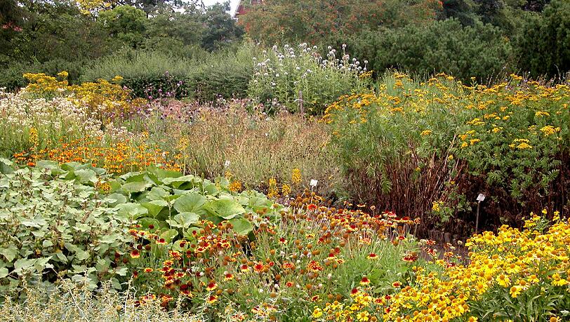 Farbenfroh: Pflanzen im Botanischen Garten. Farbenfroh: Pflanzen im Botanischen Garten.